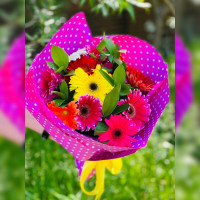 Bright bouquet of multi-colored gerberas